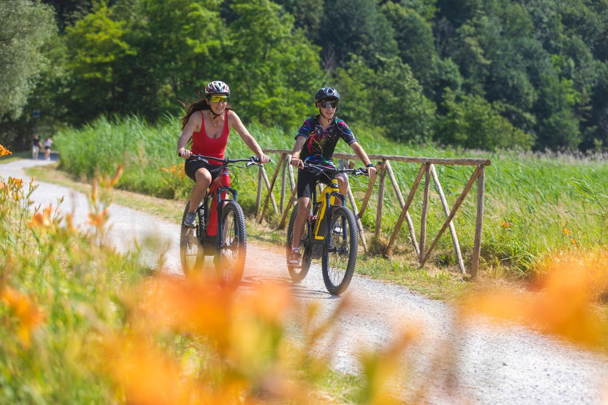 Foreground - Pet Friendly Stay- Garden-parking-lake View- Bike Friendly House Casa vacanze Colico