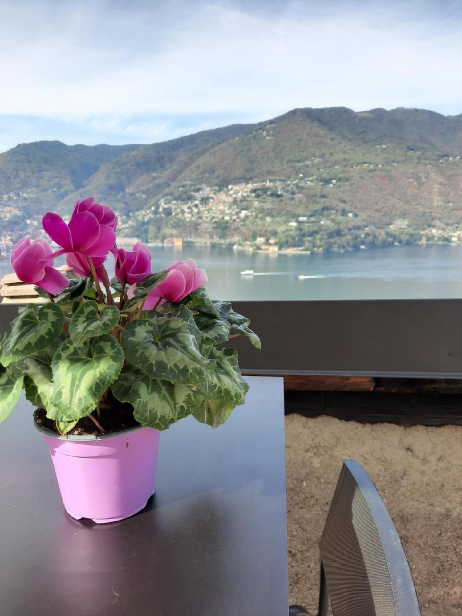 Affittacamere Luxury La Terrazza Sul Di *