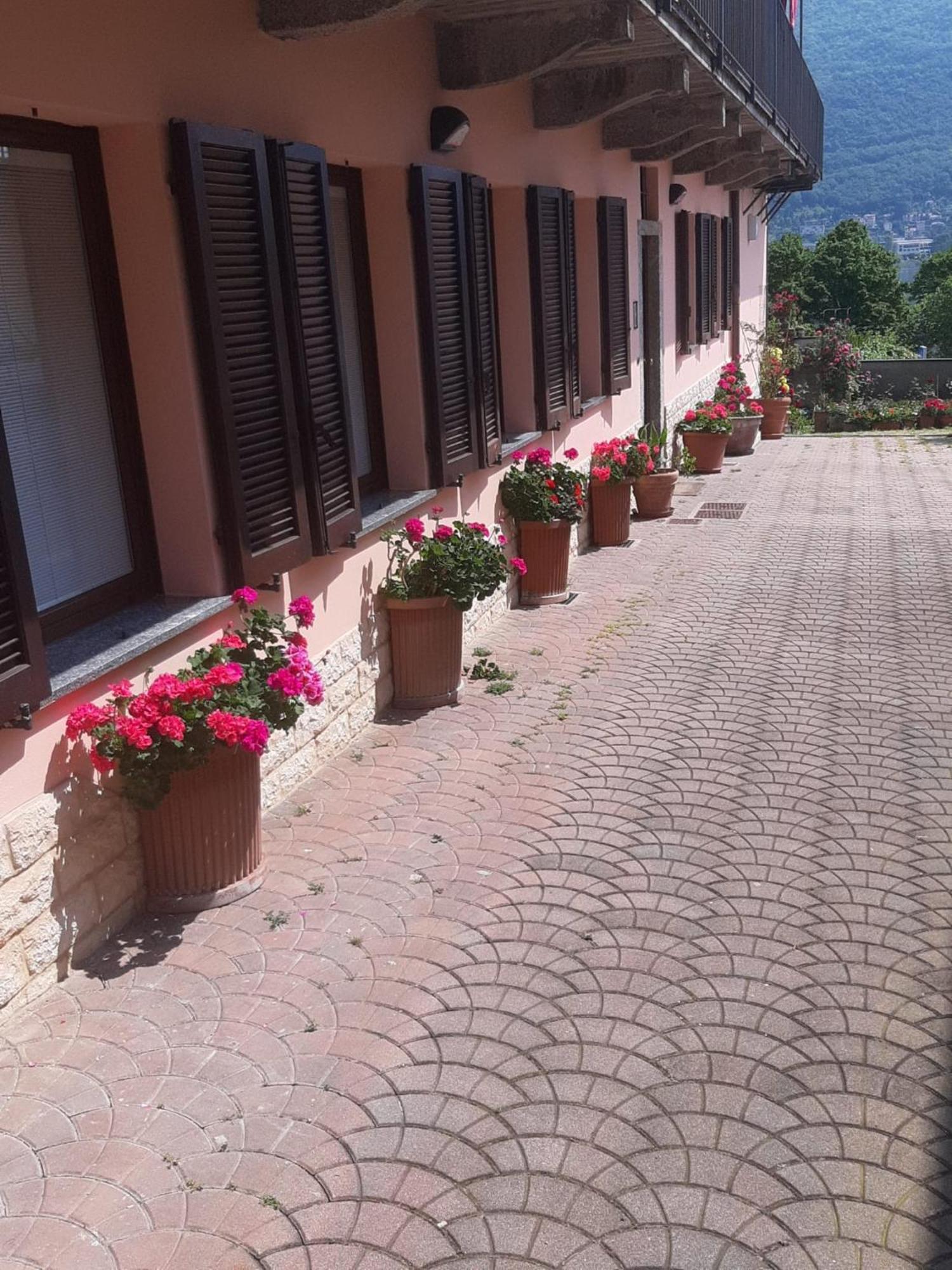 Le Rose Sul Apartment Pescate