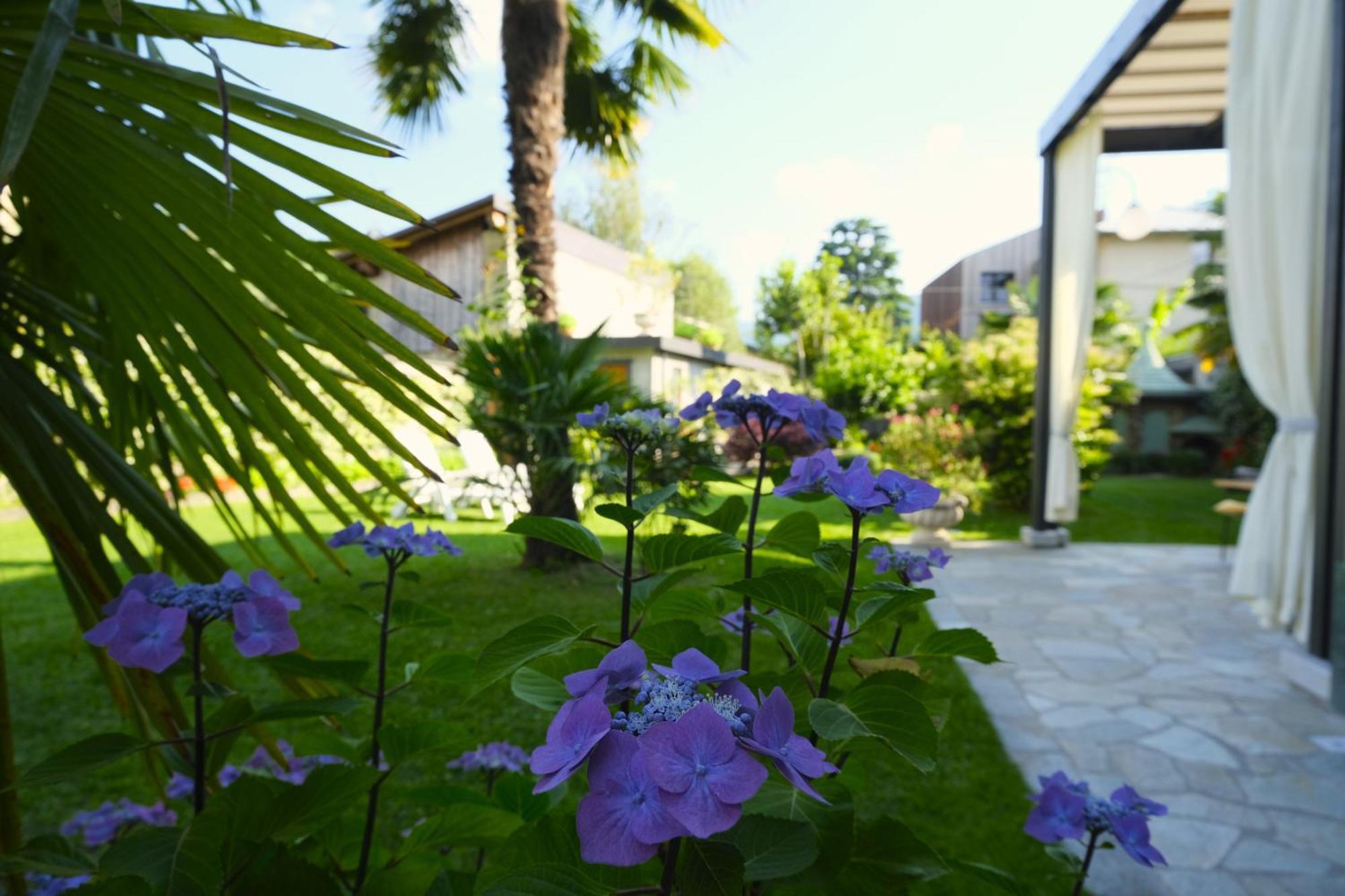 Residenza Laurum * Mandello del Lario