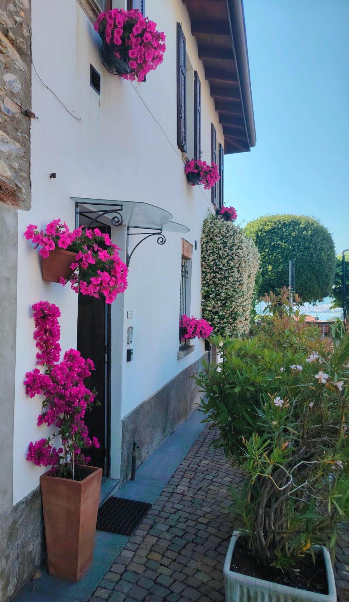 In Piazzetta - Casa vacanze *