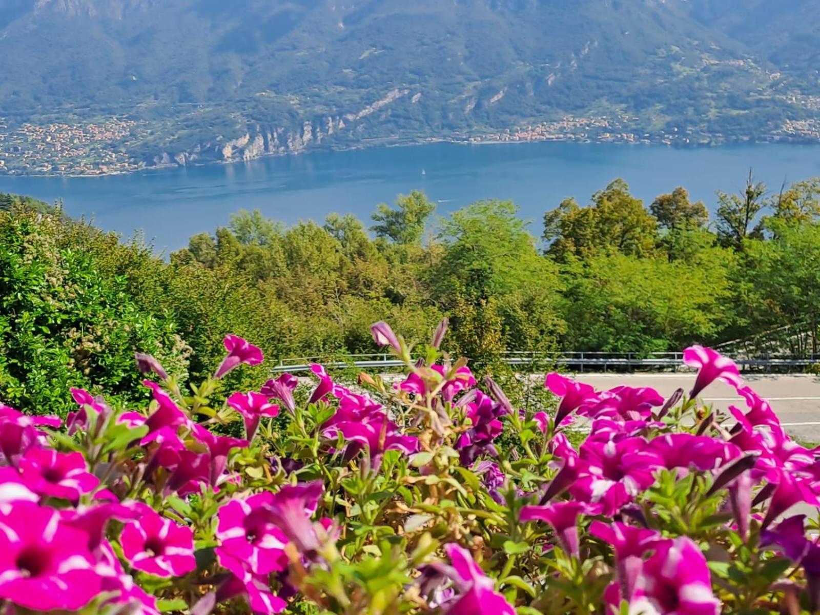 Locanda Provinciale 79 Magreglio