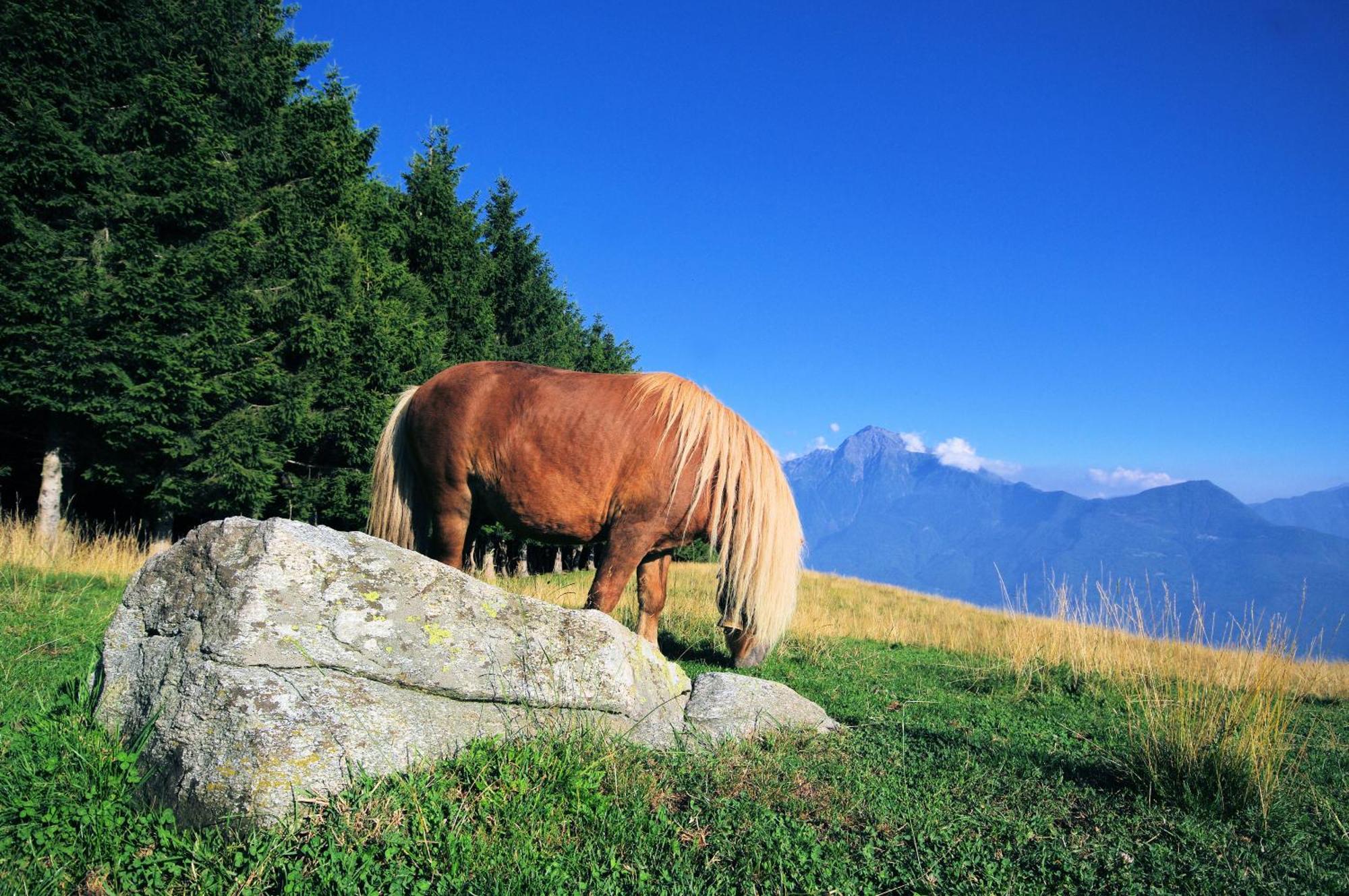Le Baite Di Bodone - Bodone Paradise * Livo (Lombardy)
