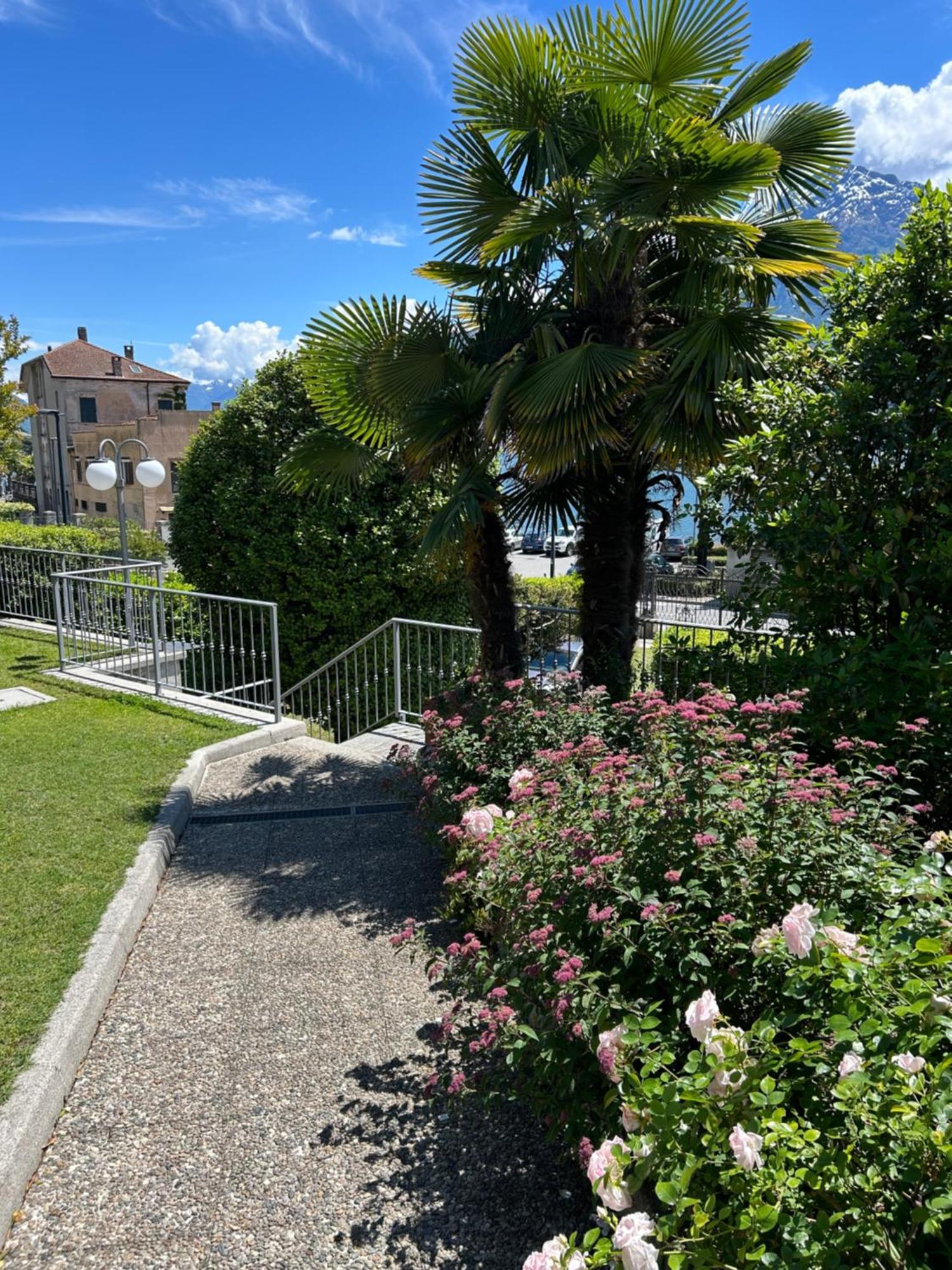 Il Bosso Apartment Domaso