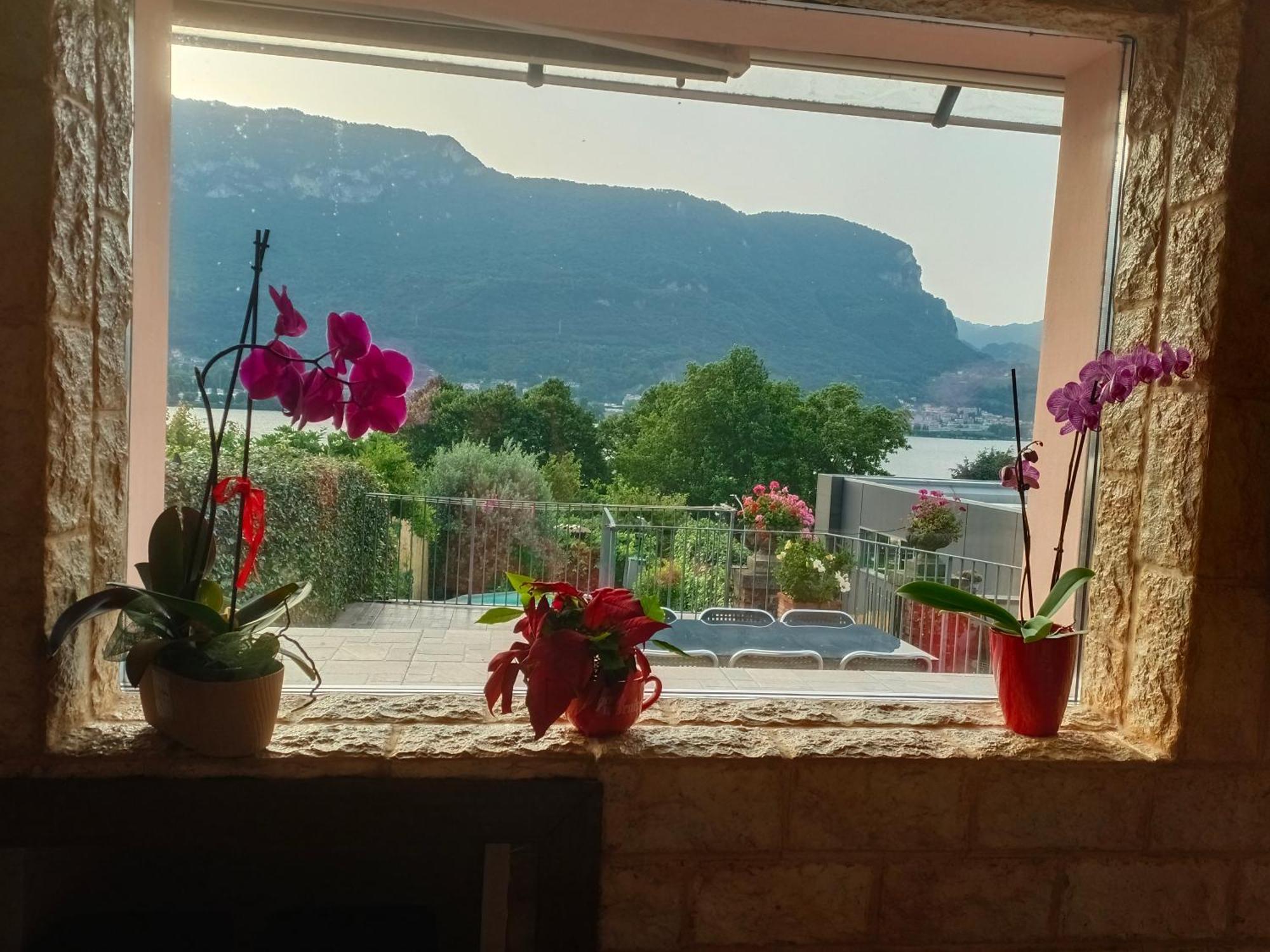 Apartment Le Rose Sul *