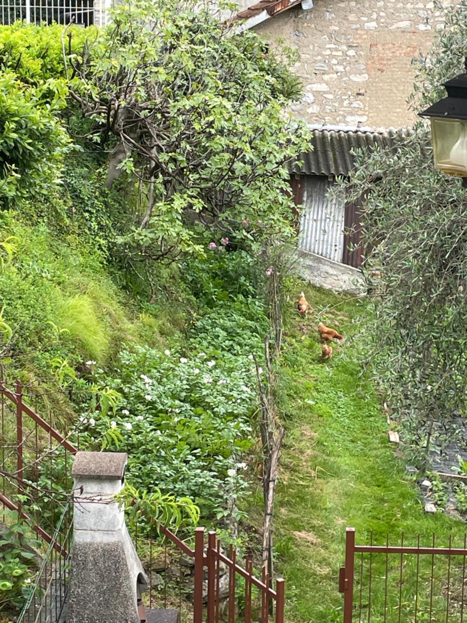Family House Ossuccio