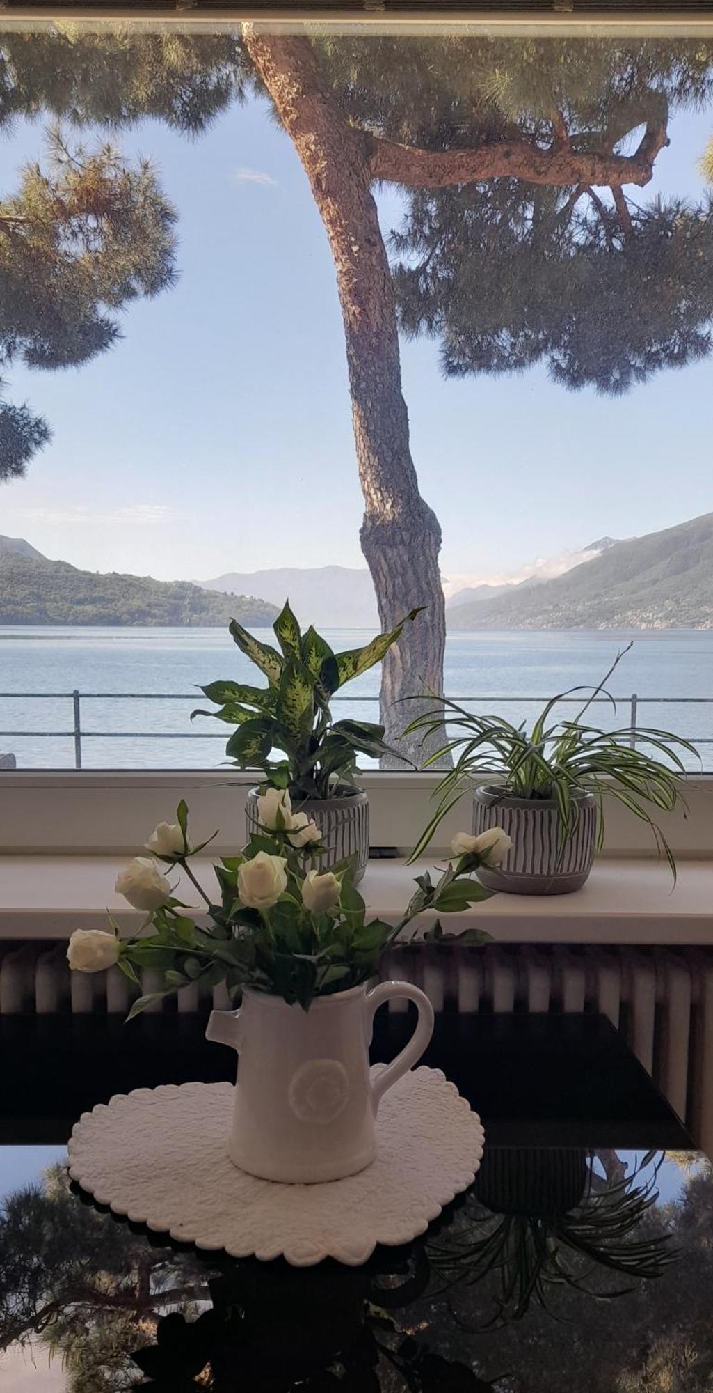 Apartment Porto Vecchio Domaso