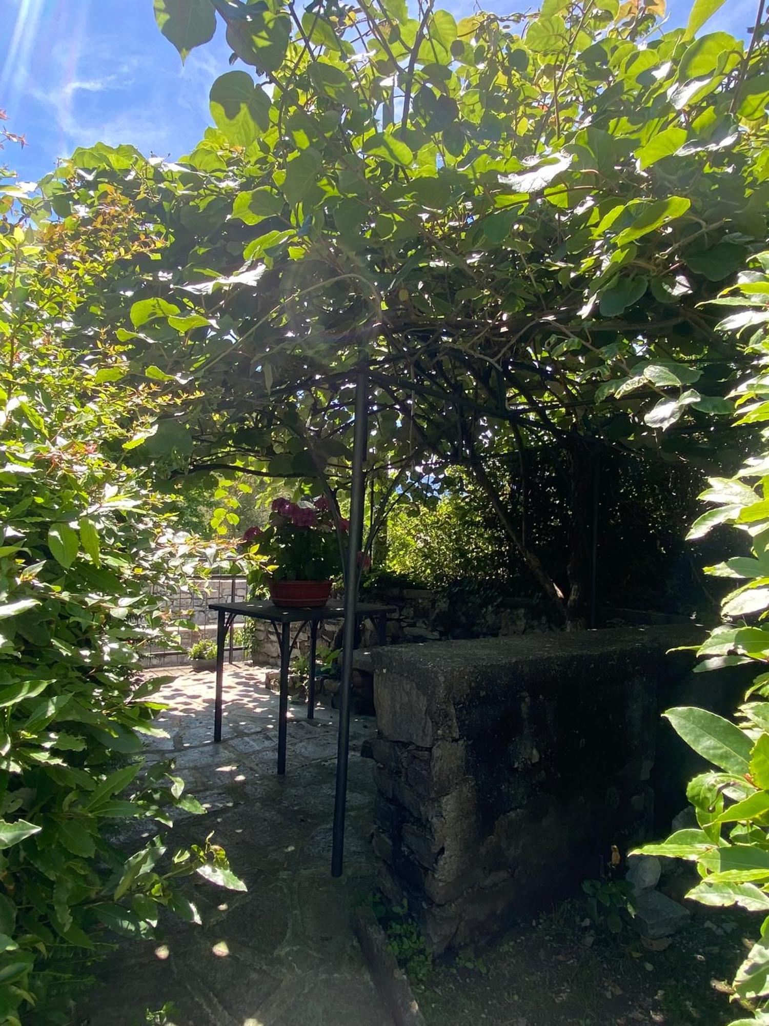 Apartment Life Is Good - Front In Tremezzo