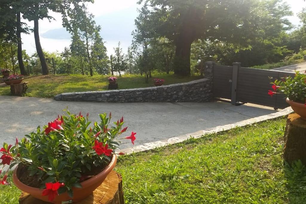 Villa Tranquil Nestled Among Ancient Chestnut Trees *