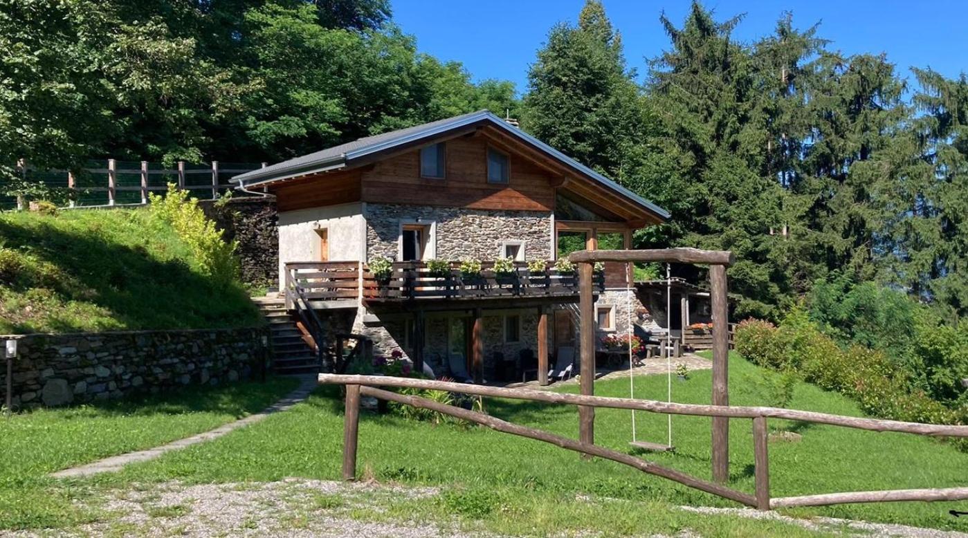 Cozy Nature House
