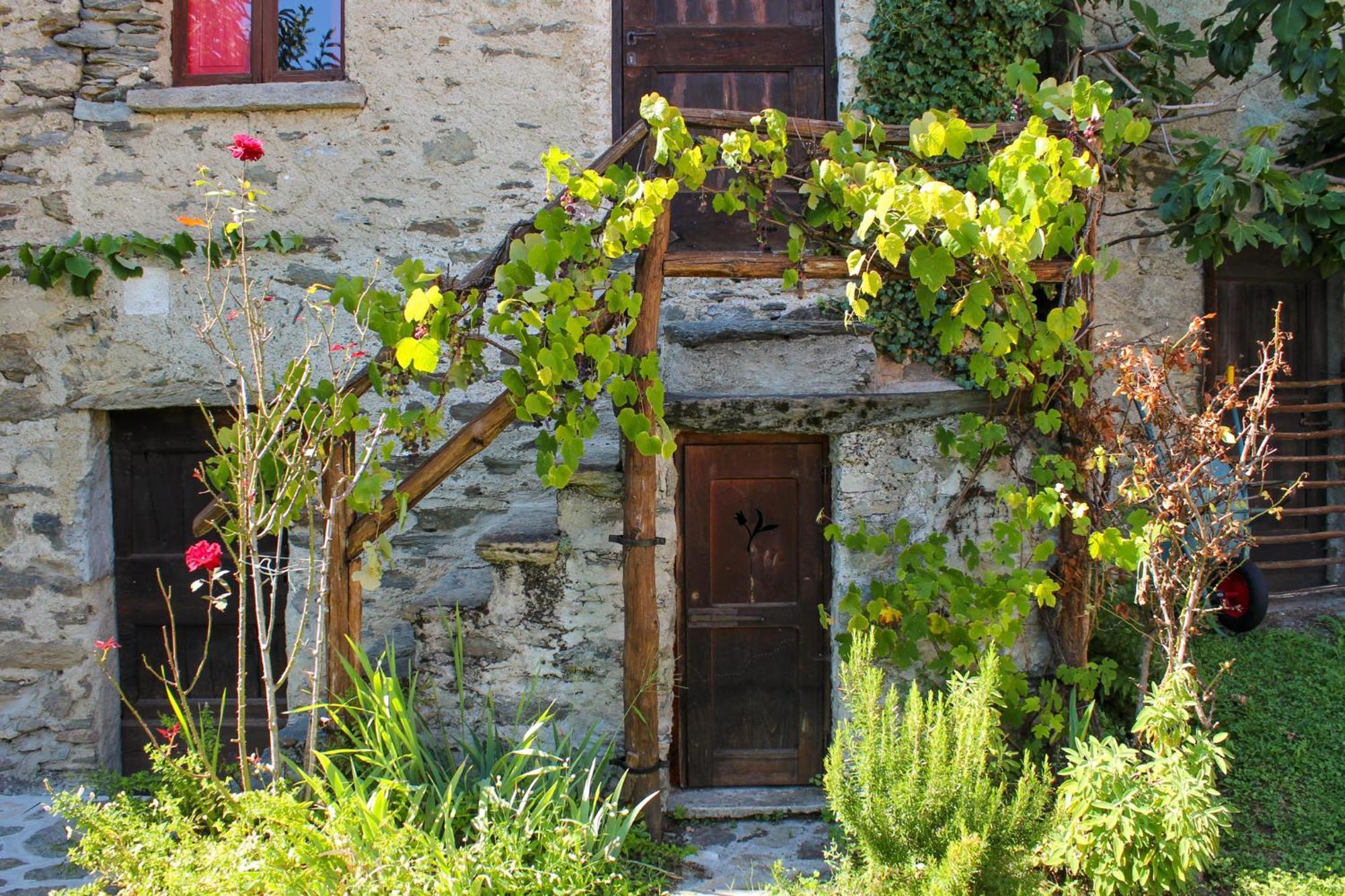 Rustico-ferienhaus Antico Holiday home *