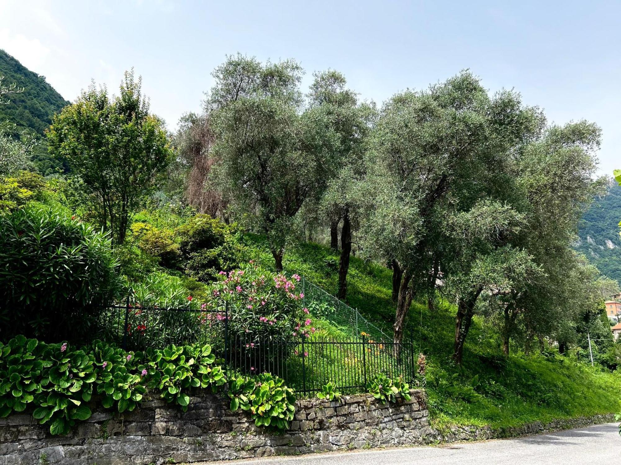 Lakeview Bellagio Limonta