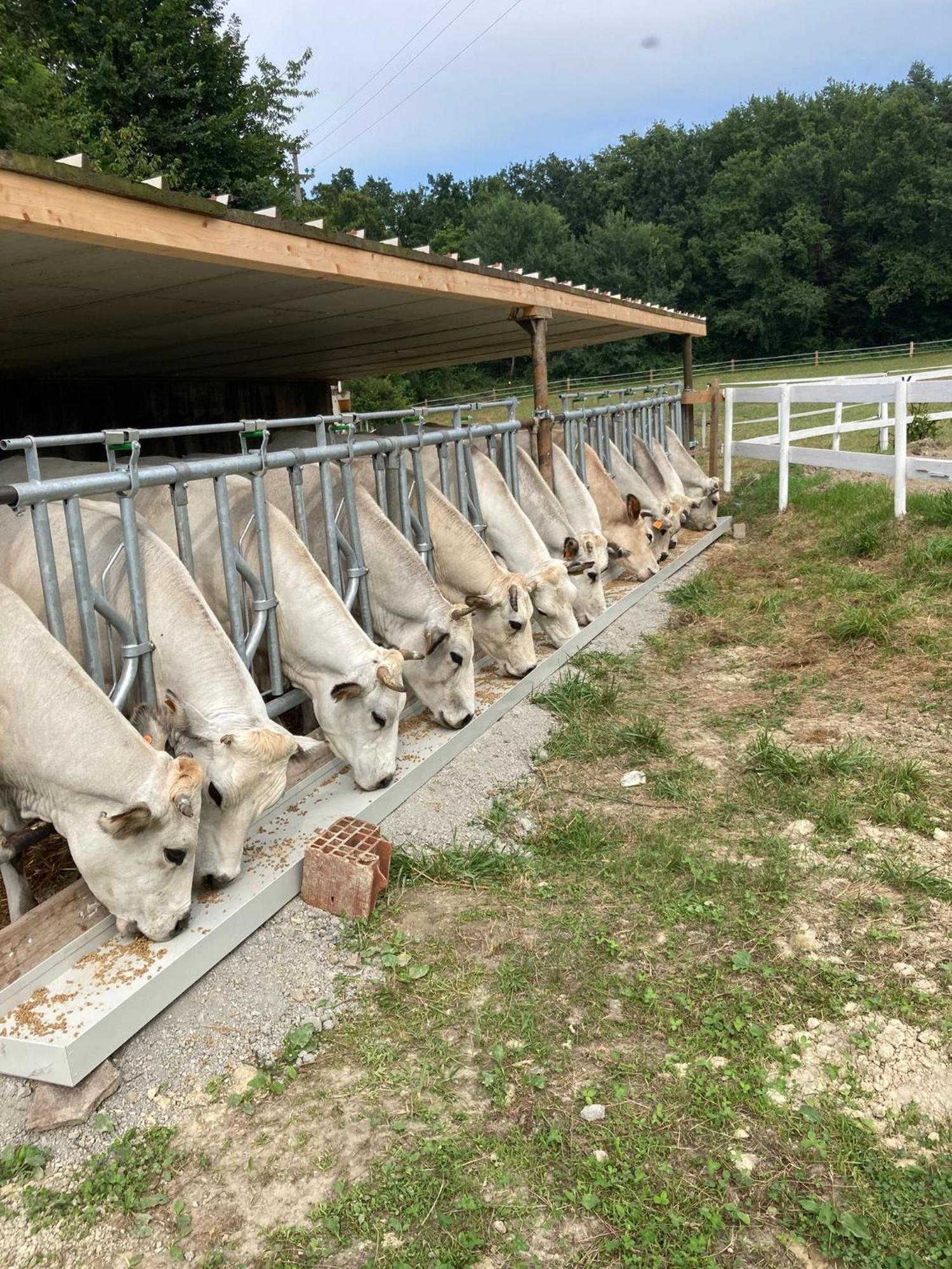 Bauernhof La Fornace Centro Ippico
