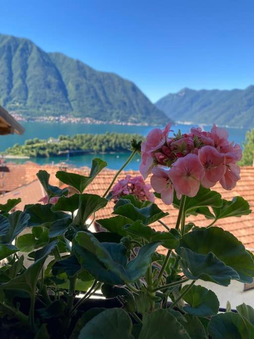 Holiday home Casa Alle Fontane *