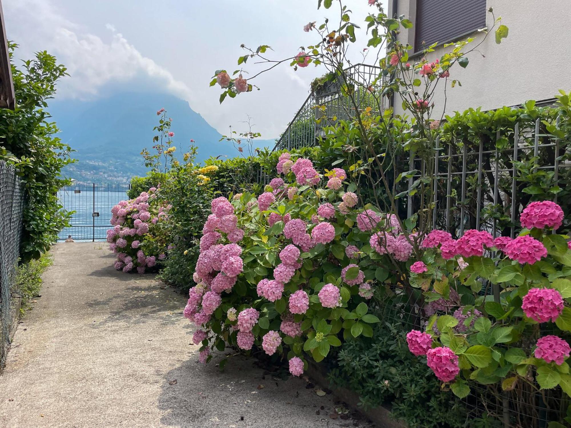 Il Melograno 1 With Access * Oliveto Lario