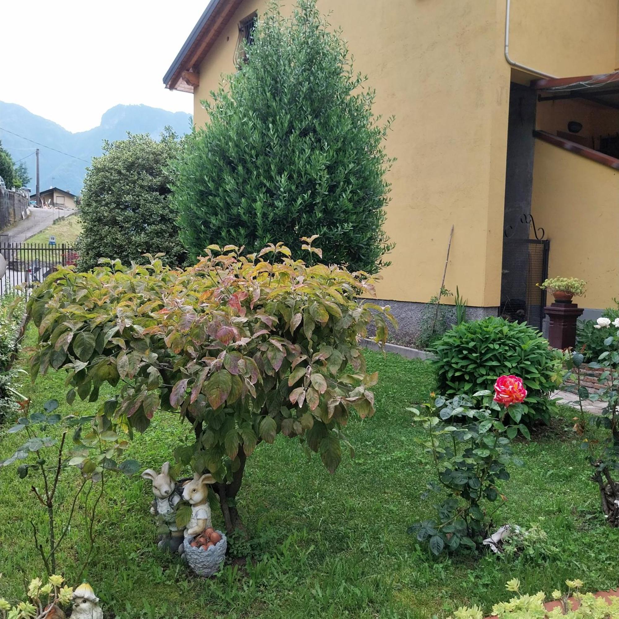 Casa Peppo Apartment