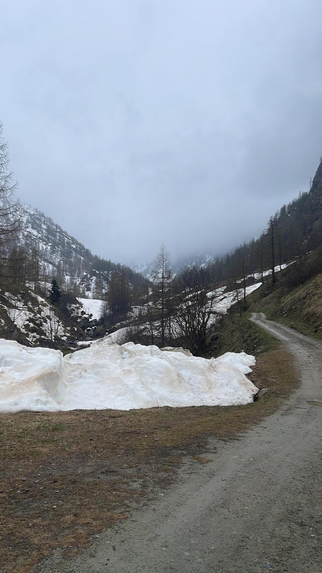 Laghi Di Di Licinia E Mario *