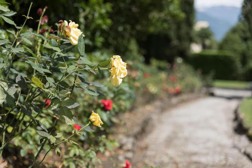Appartamento Morosini - Free Parking Bellagio