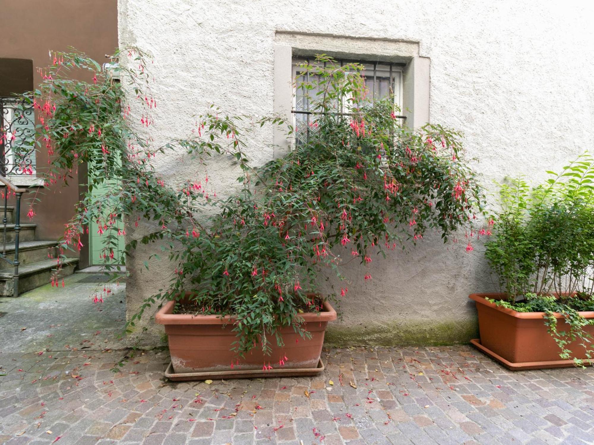 Mamma Ciccia - Fishermen's Alley Apartment *