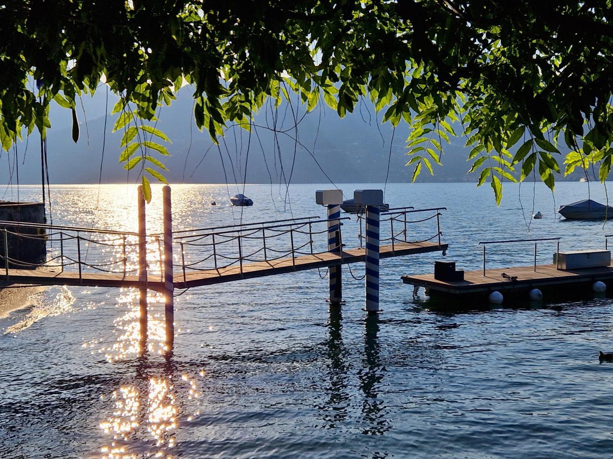 Vichi's Nest * Pianello Del Lario