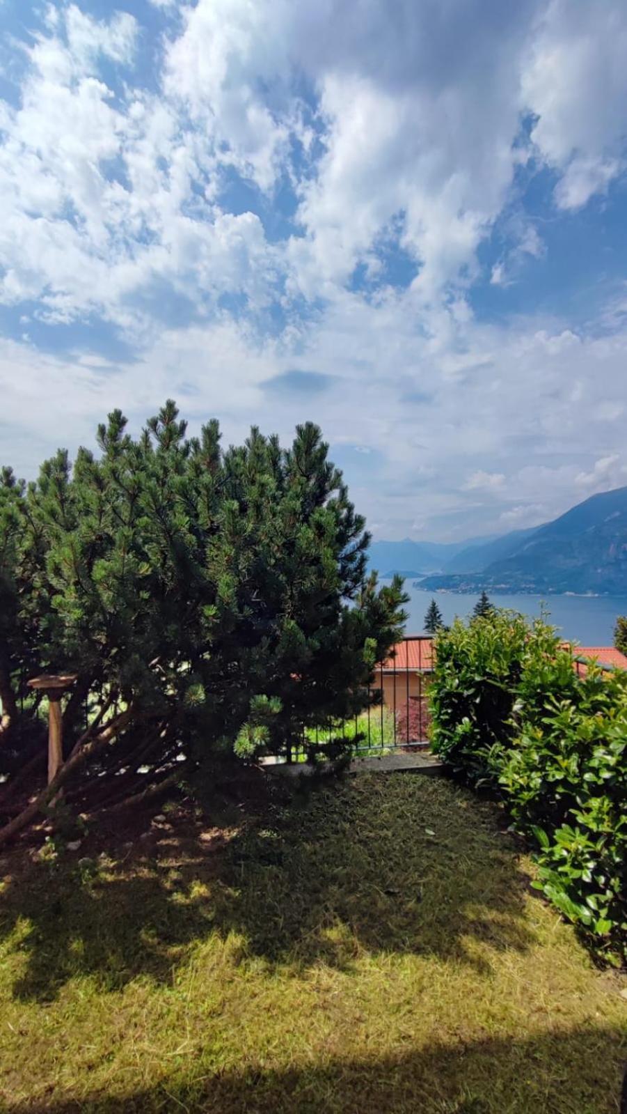 Blu Dipinto Di Blu - View - * Perledo