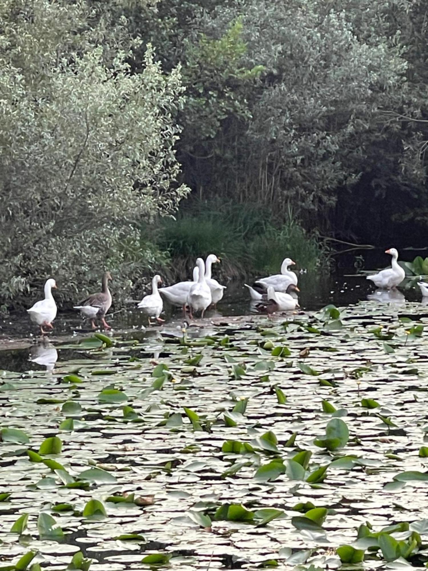 Laghi Di Di Licinia E Mario Apartment