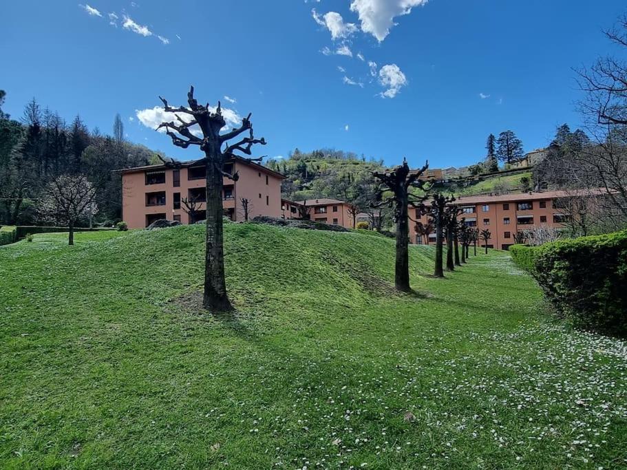 Oasis Apartment Como