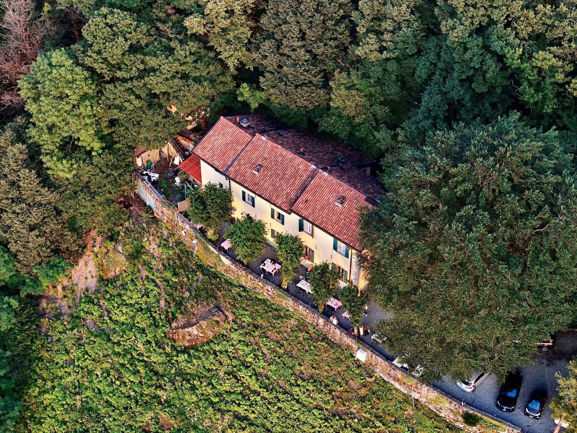 Ristorante Falchetto Hotel