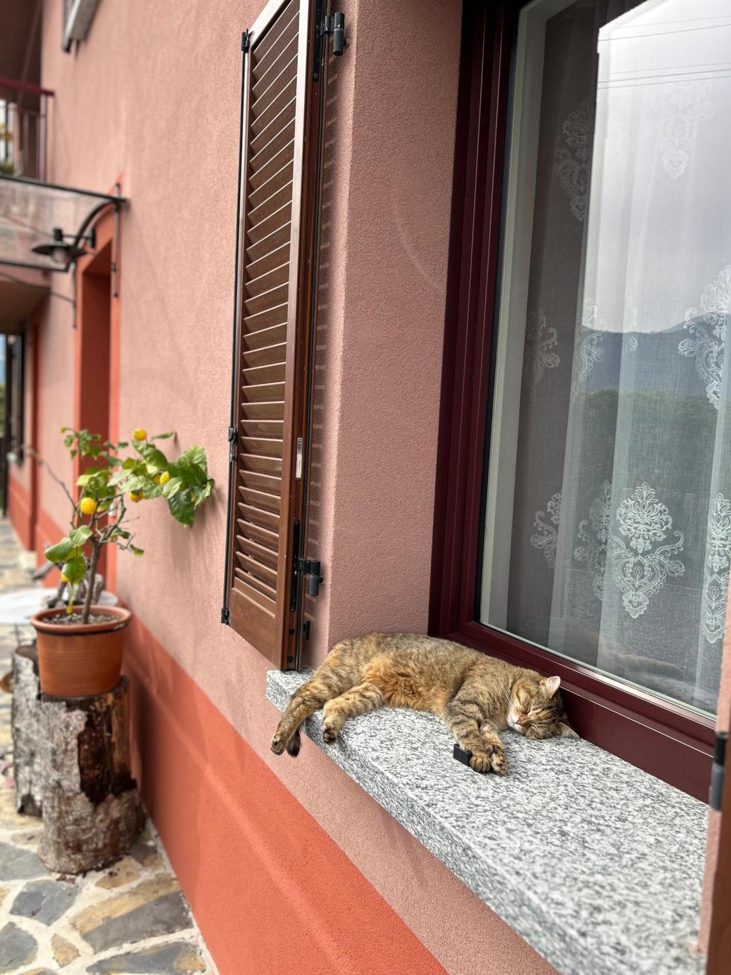 Il Mallo - Bed & Breakfast *