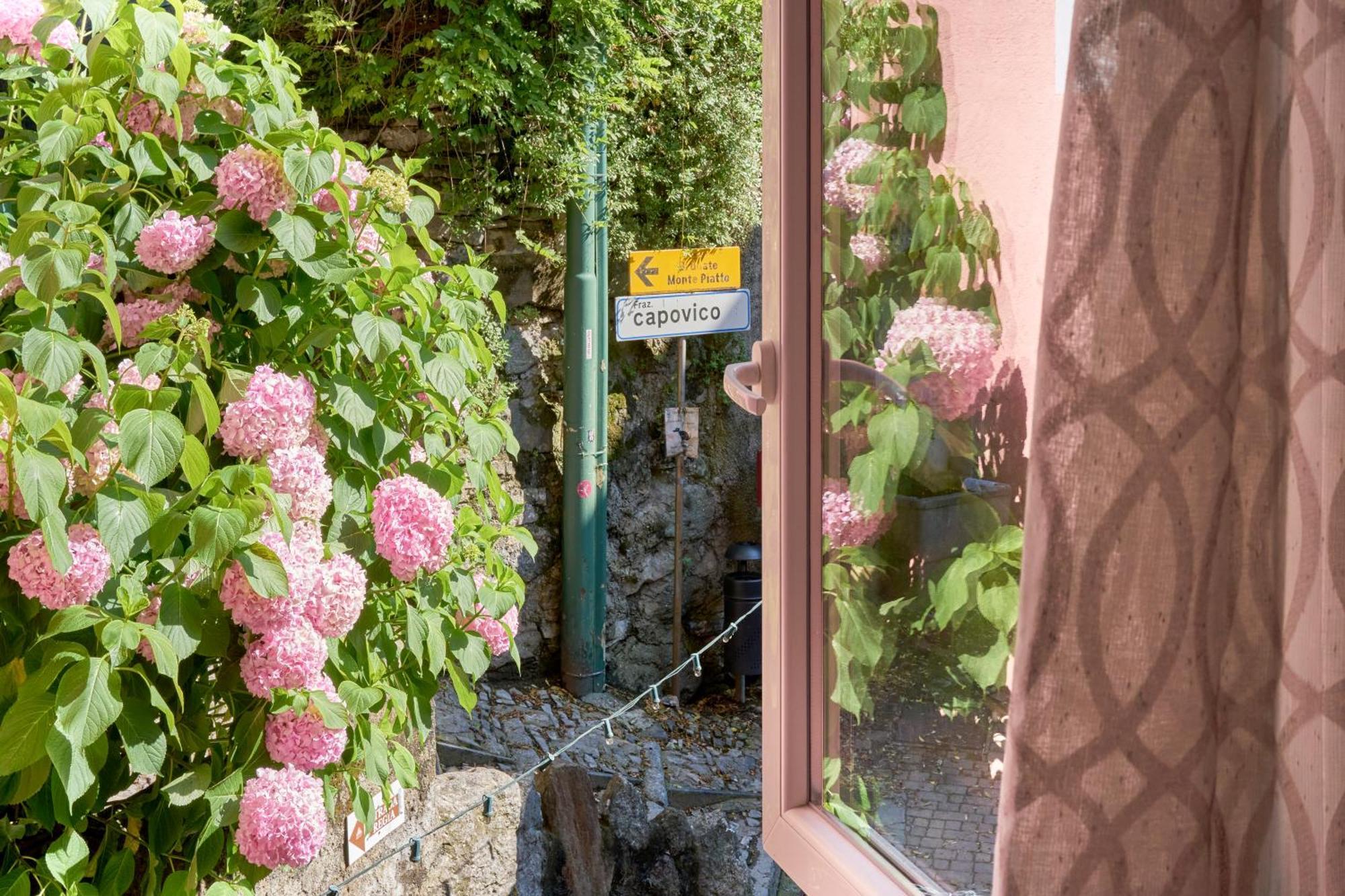 Timeless Charm - A Window To *