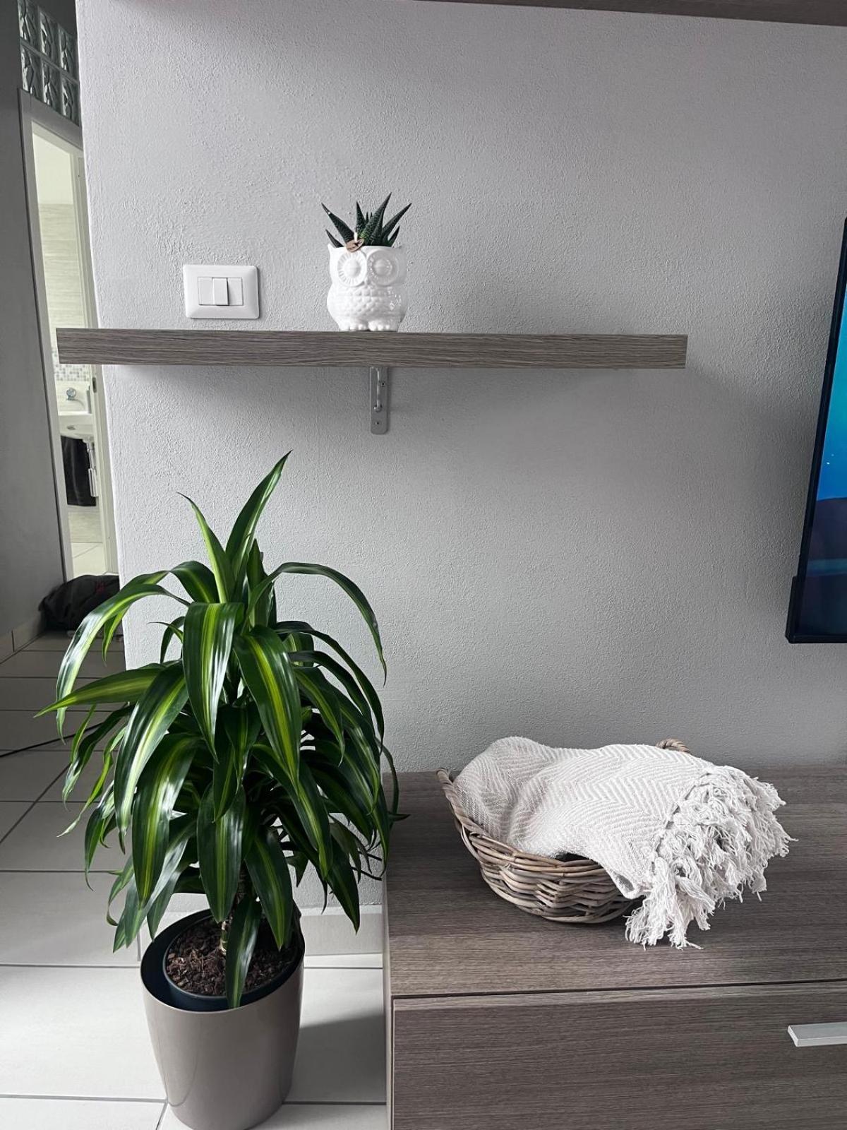 Casa Castagna - *