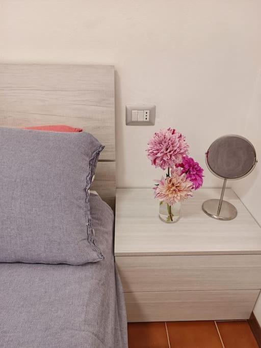 Little Nest Apartment