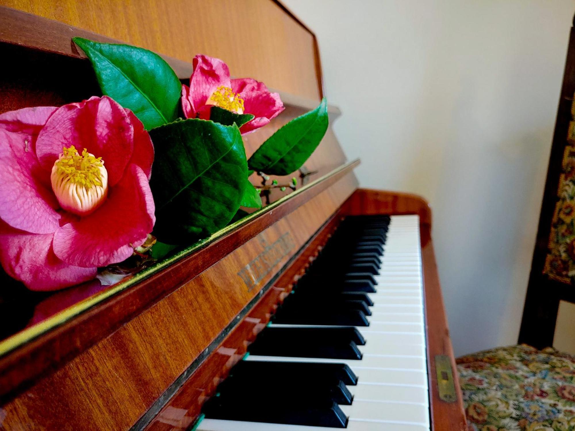 Apartment Pianoforte
