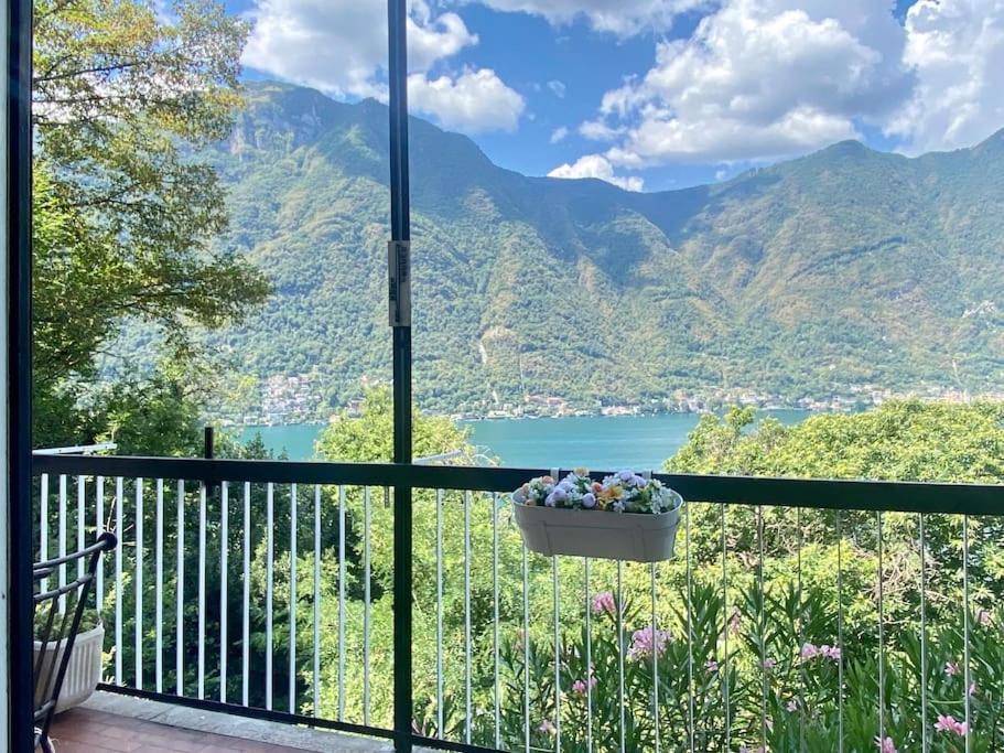 House - View & Solarium