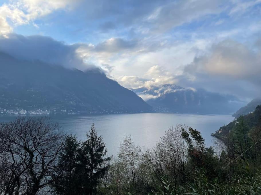 House - View & Solarium Nesso