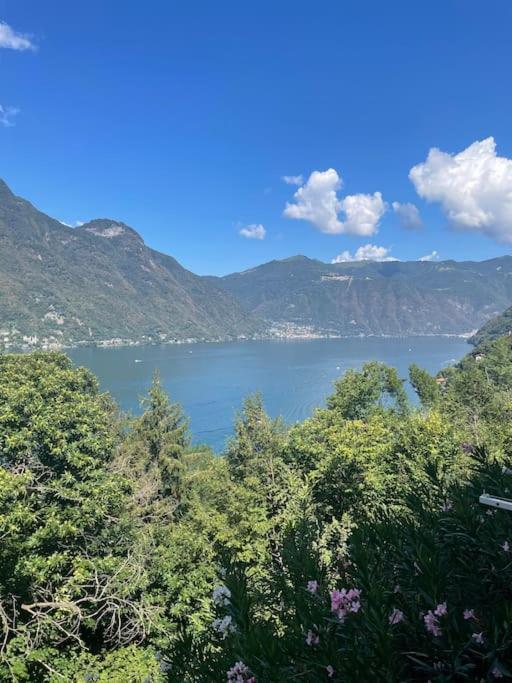 House - View & Solarium * Nesso