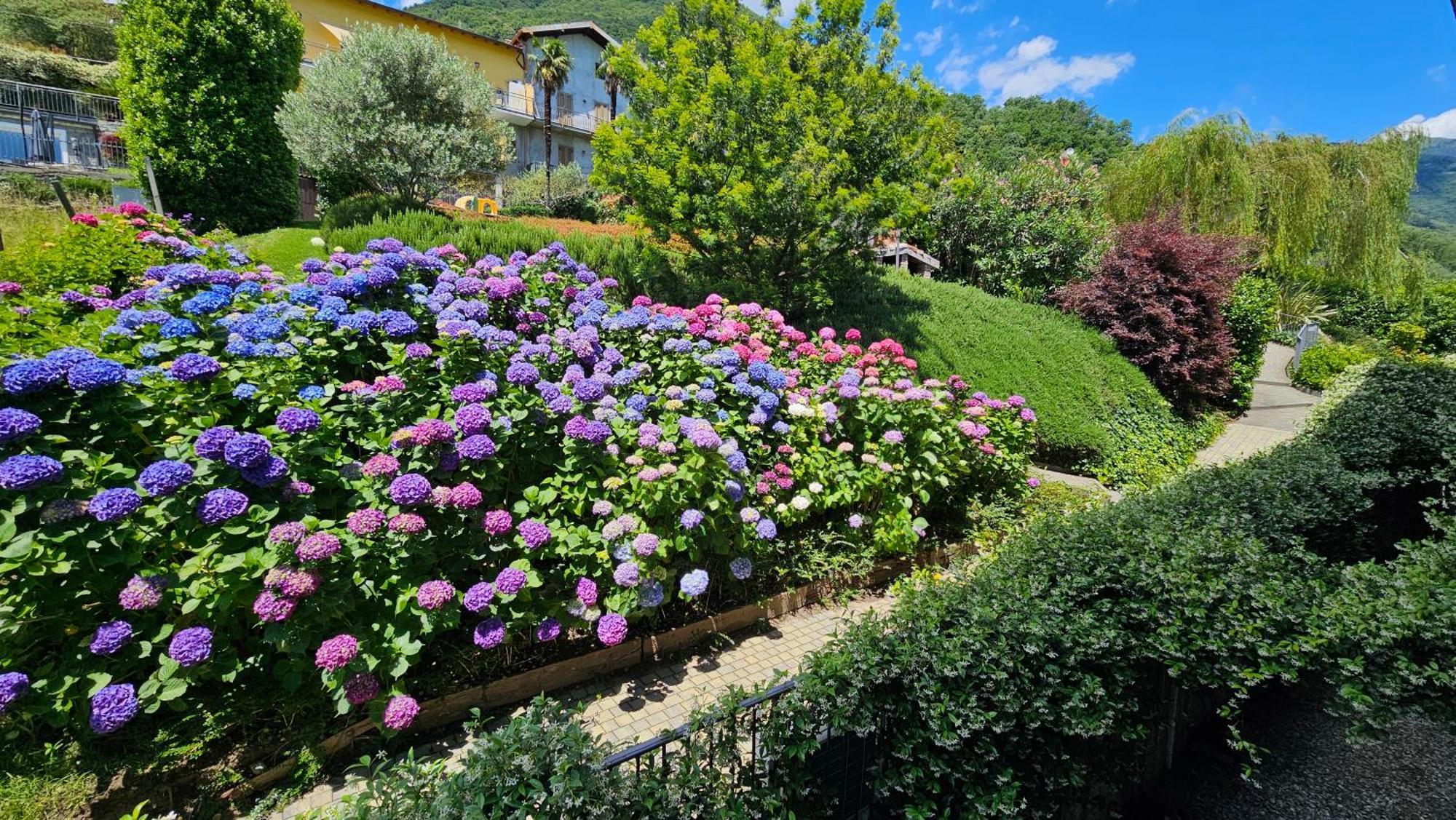 Il Giardino Di Lory * Vercana