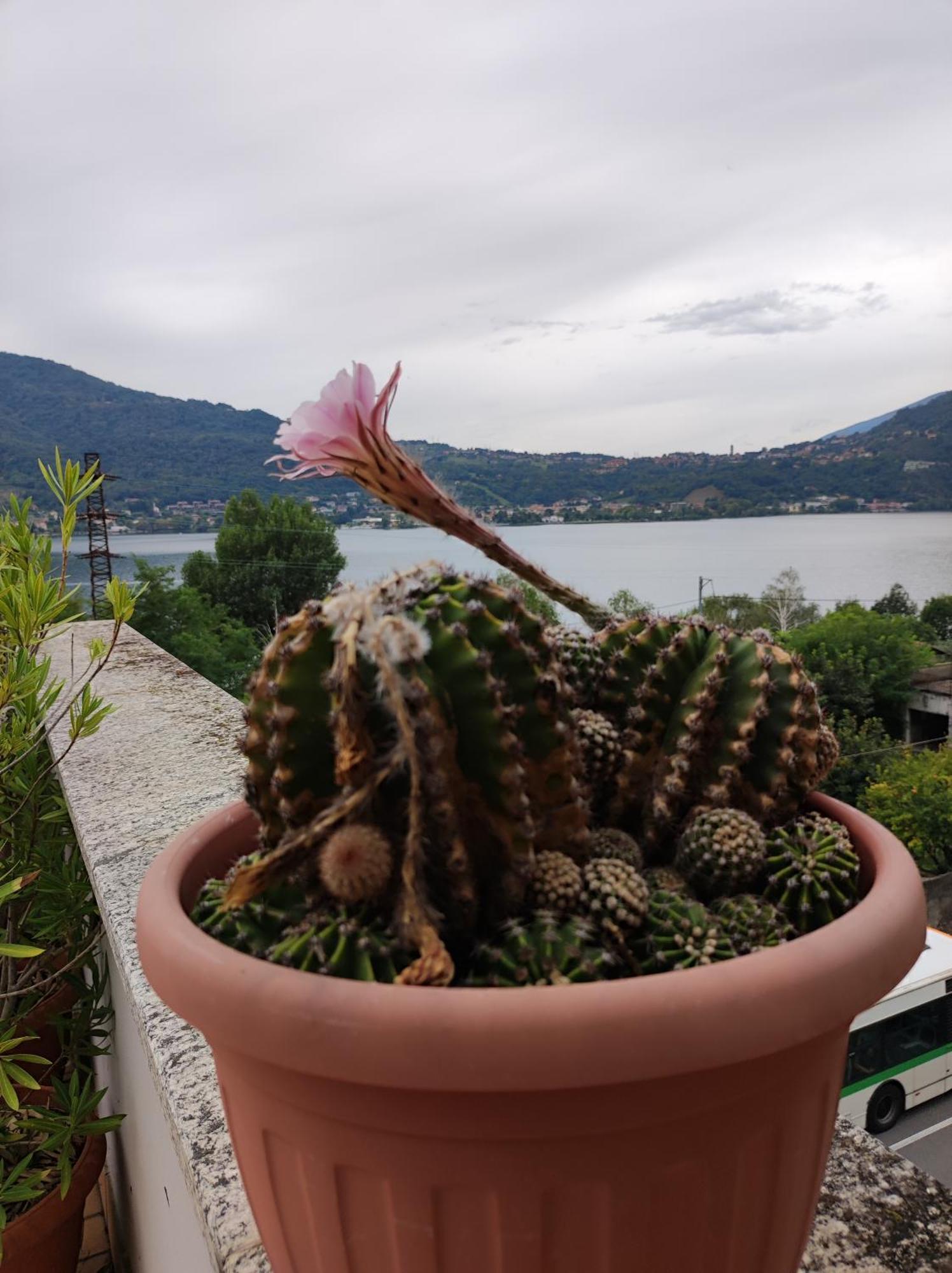Apartment Terrazzo Sul