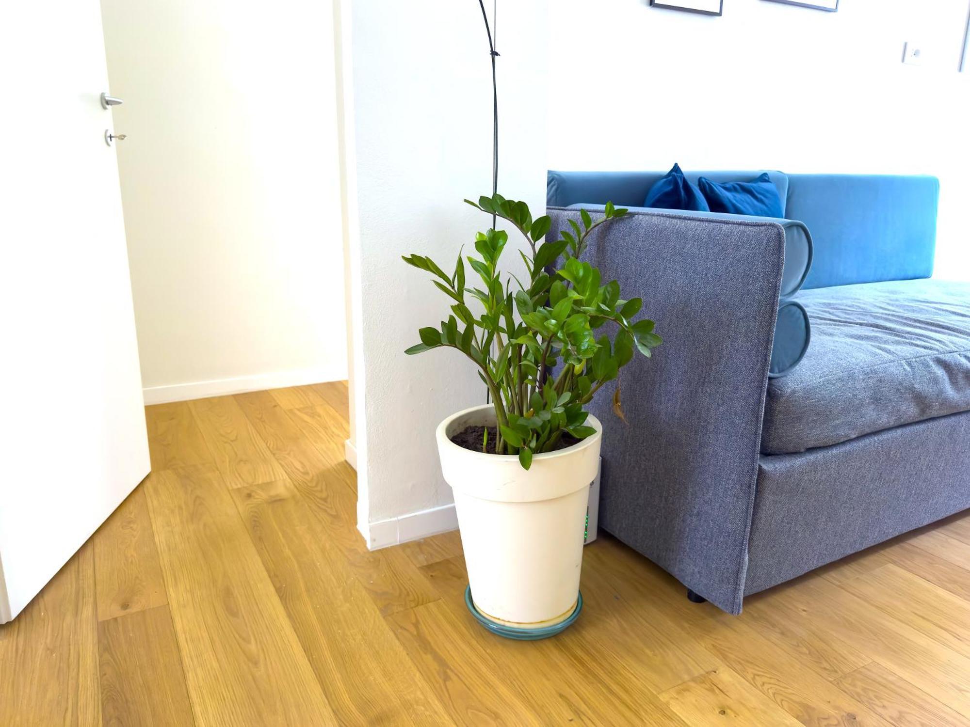 Zeus - Luxury Apartment *