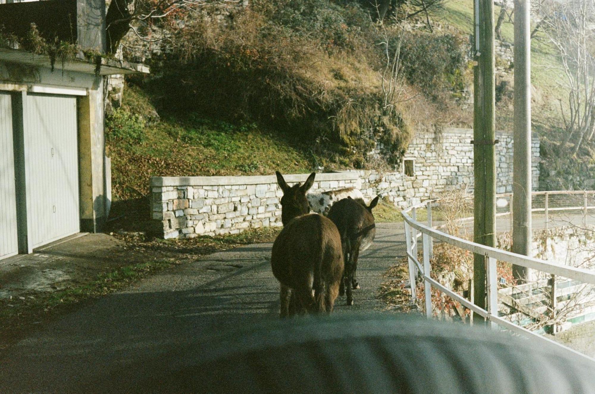 Ca' Bossi Cernobbio