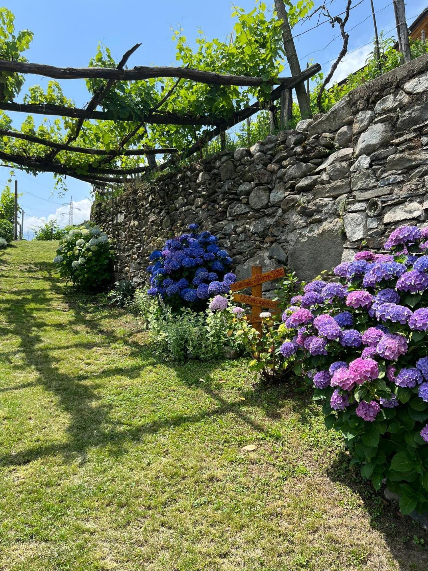 Casa Nonno Nacleto