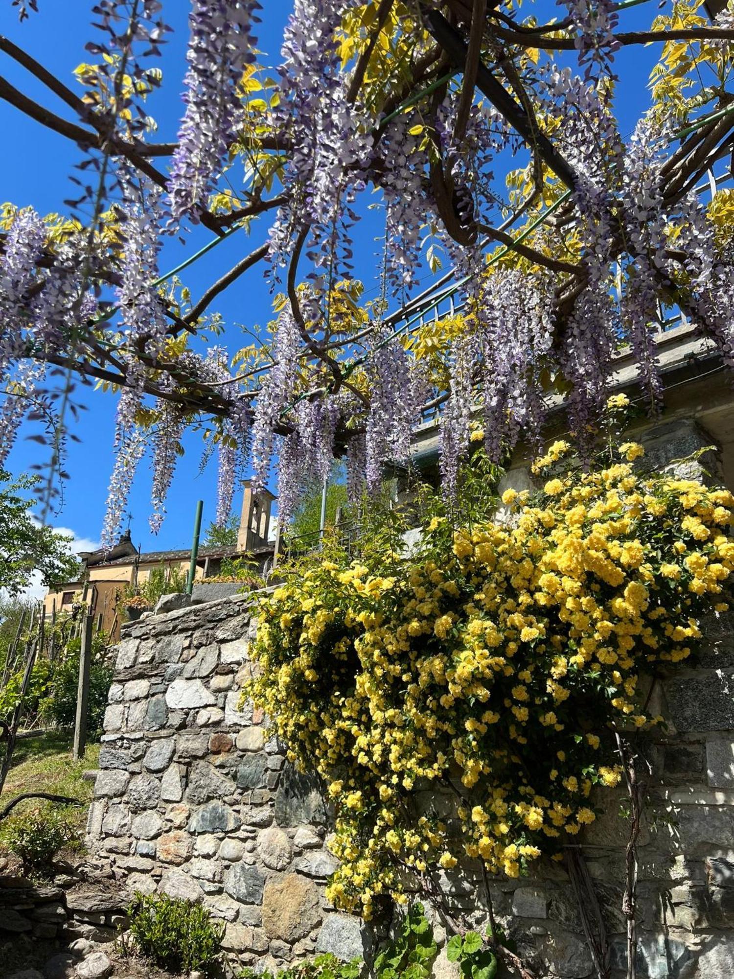 Casa Nonno Nacleto Holiday home Vercana