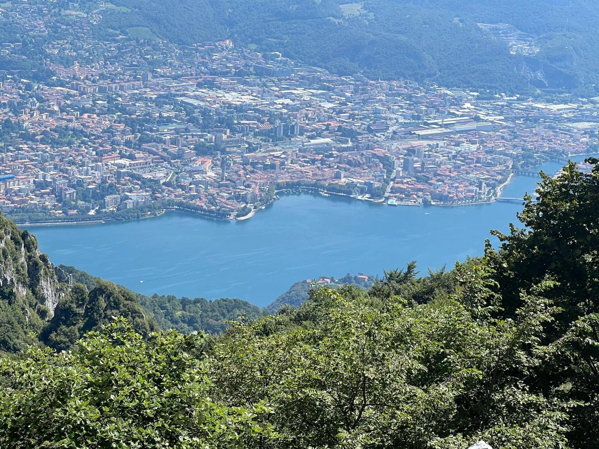 La Coccinella