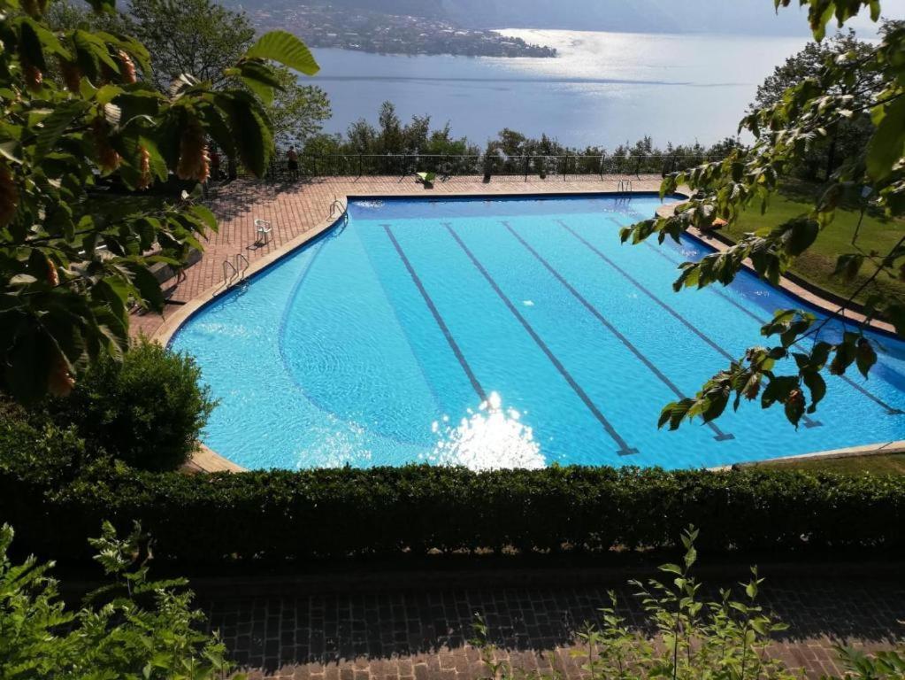 Penthouse With Big Terrace In With Pool *