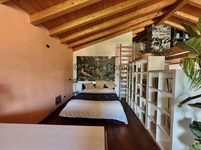 3 Olivi - Sleep 5 - In