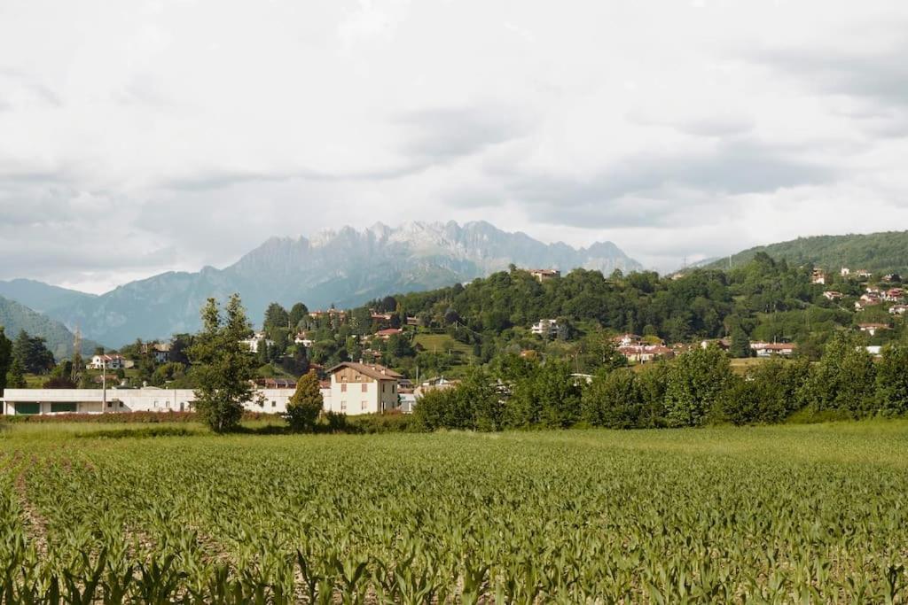 Apartment In Nature, Just 15 Minutes From *