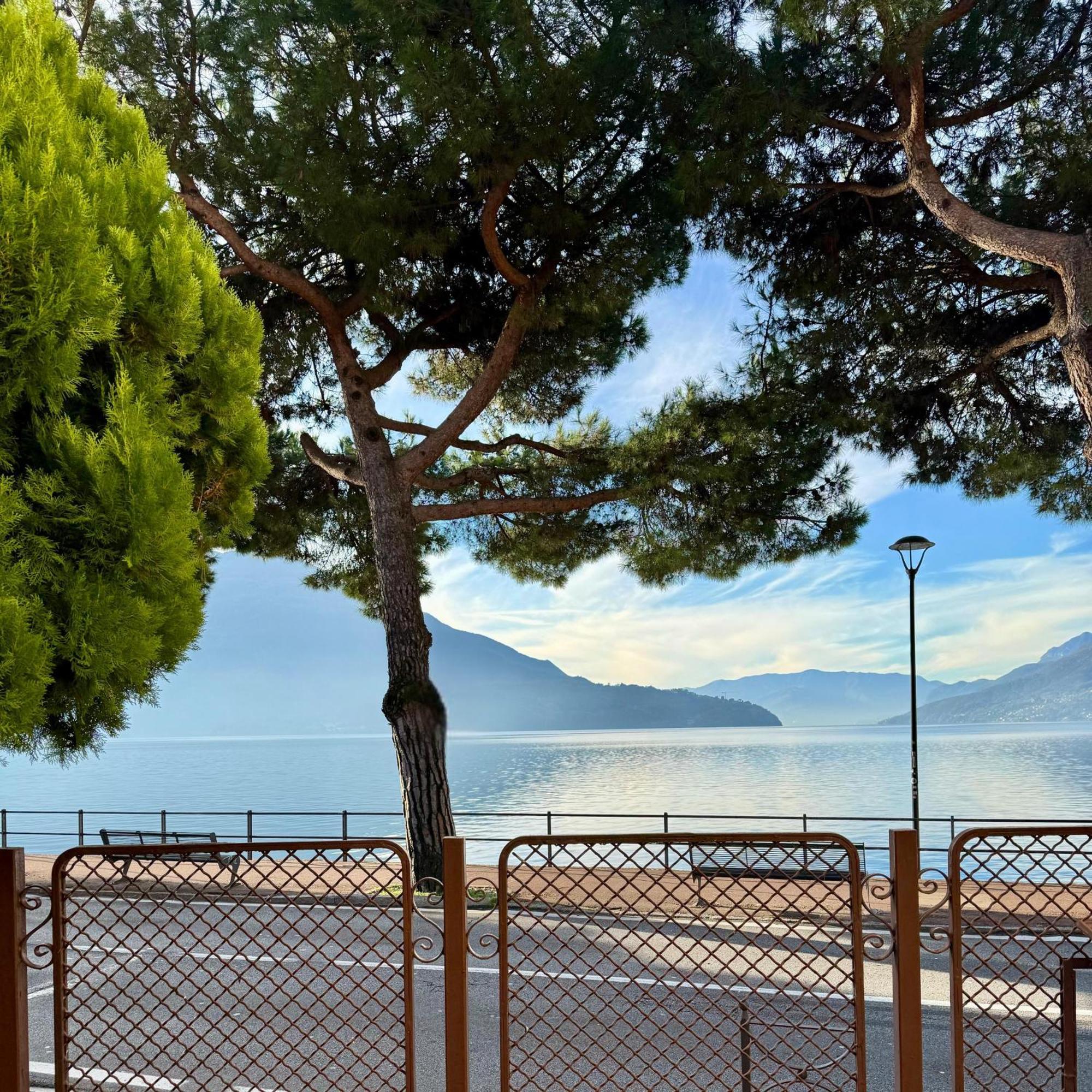Vista - Collection Apartment Domaso