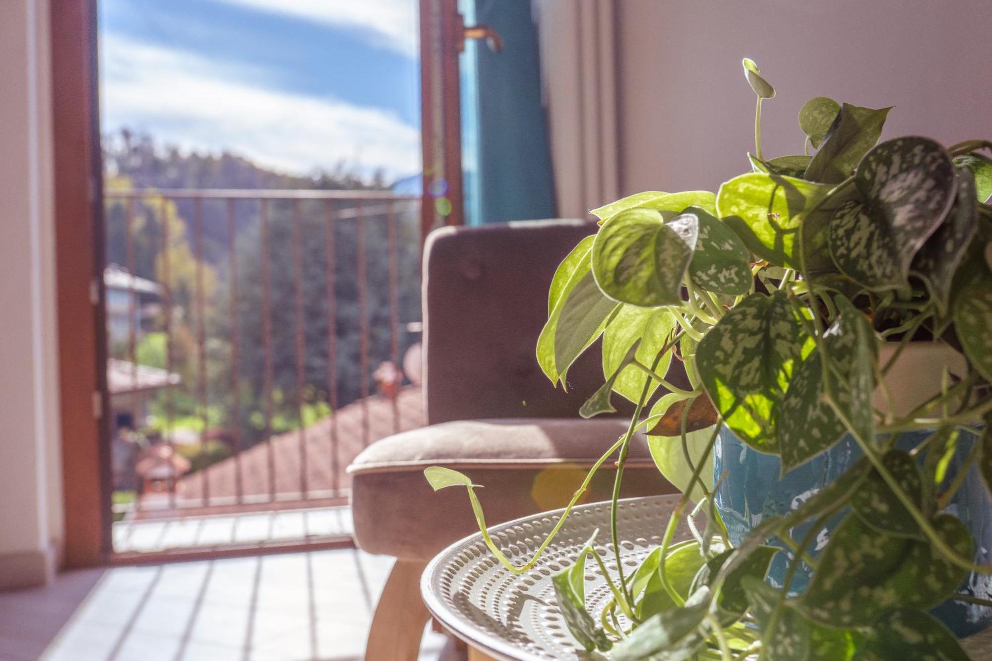 Apartment Larius - View Mandello del Lario