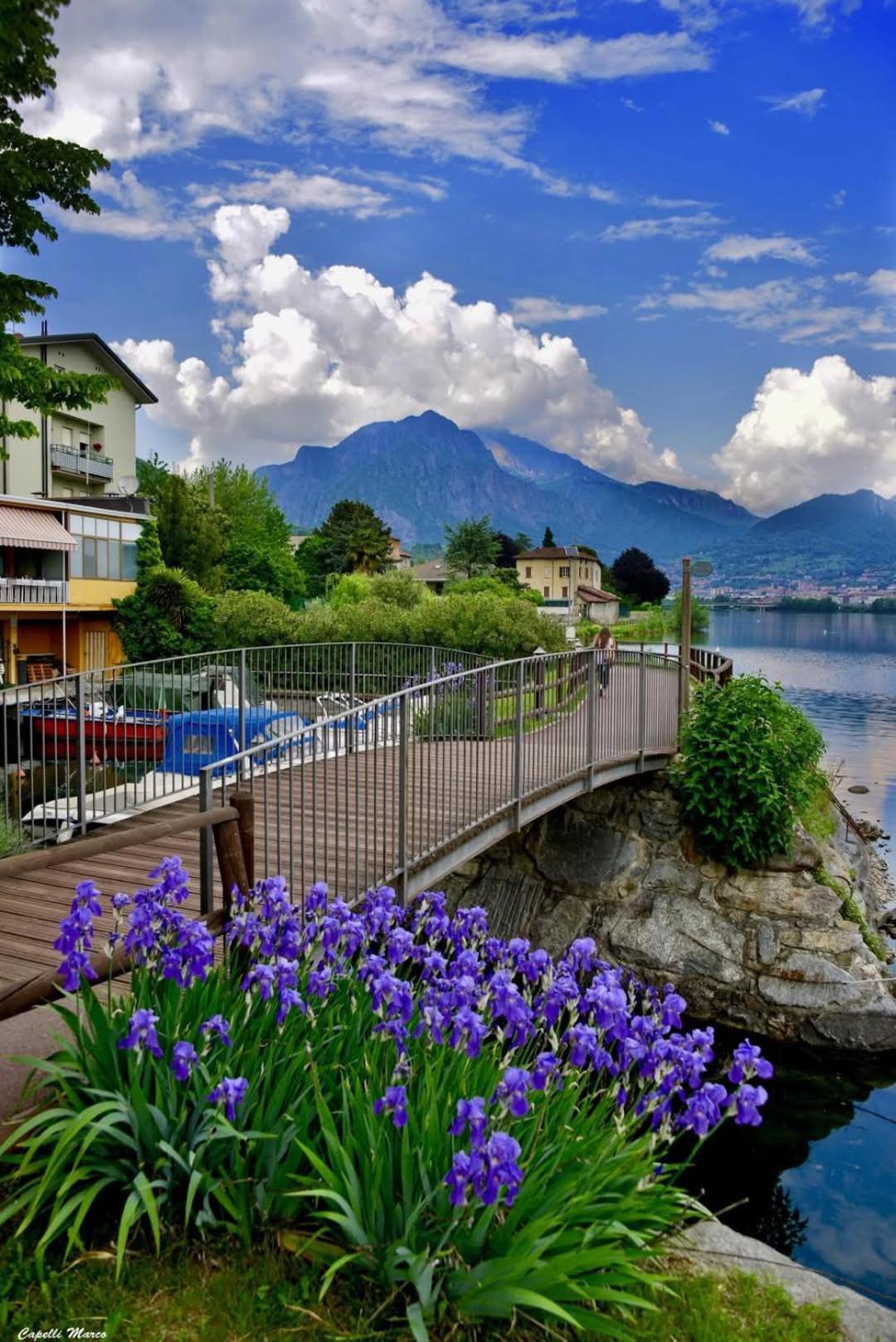Apartment Le Rose Sul Pescate