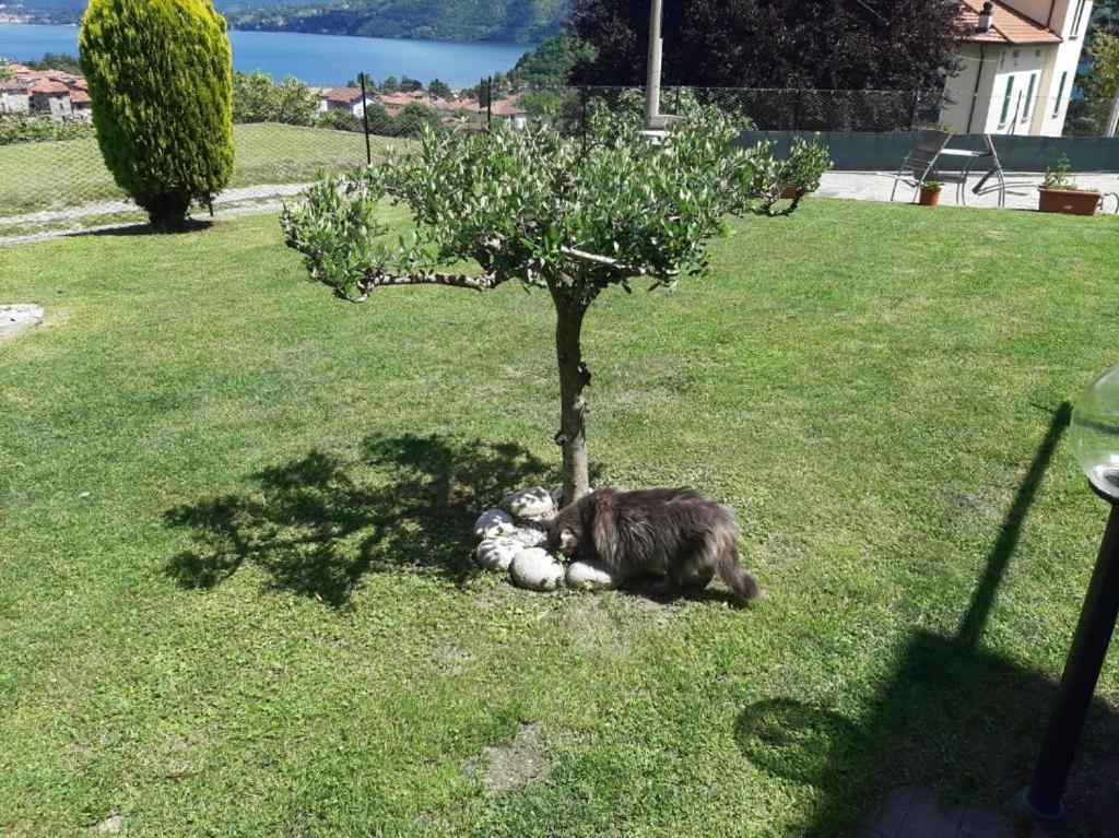 Bed & Breakfast Garzola